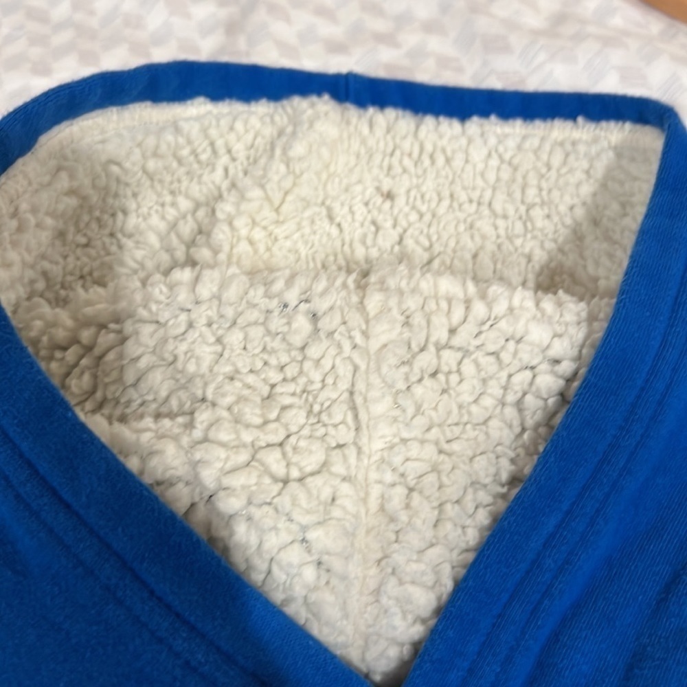 Champion Sherpa lined hood sweatshirt - Picture 5 of 6